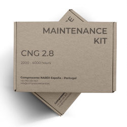 Kit de mantenimiento CNG 2.8 2000-4000 horas