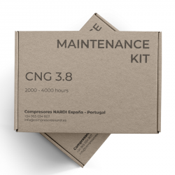 Kit de mantenimiento CNG 3.8 2000-4000 horas
