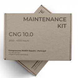 Kit de mantenimiento CNG...